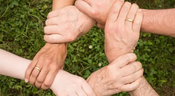 Le Projet d'accompagnement personnalis&eacute;