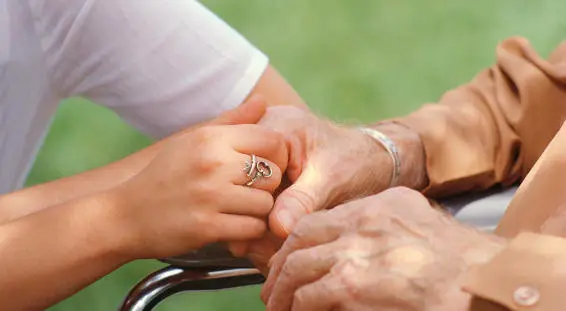 Les fondamentaux en g&eacute;rontologie